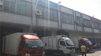 湛江至廣州及深圳冷藏運輸 精武物流，專業(yè)認證，全程無憂